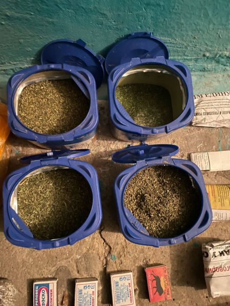 В Белёве полицейскими пресечено незаконное культивирование и хранение наркосодержащих растений