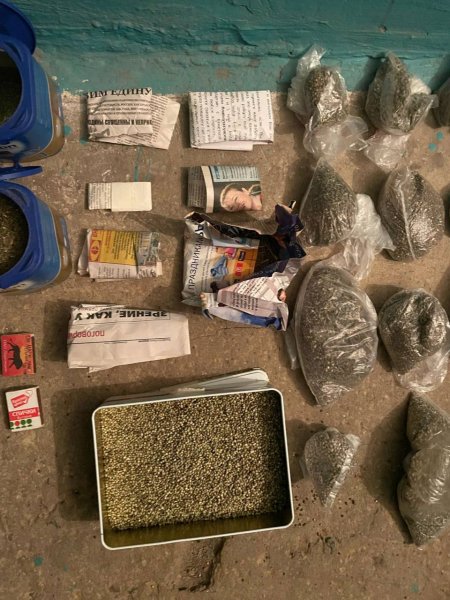 В Белёве полицейскими пресечено незаконное культивирование и хранение наркосодержащих растений